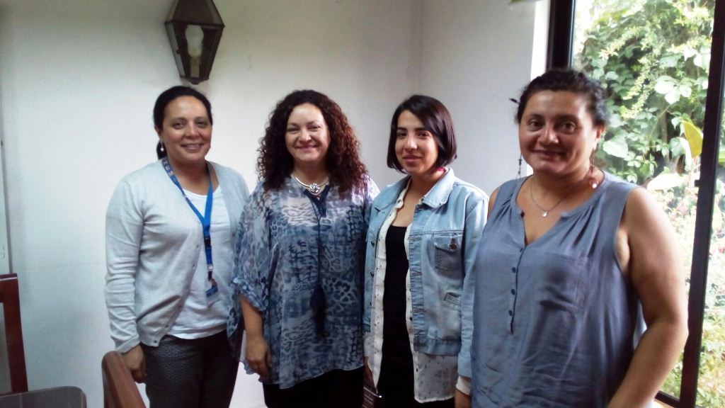Onemi e Integra participan en reunión de prevención en caso de emergencias en zonas costeras.