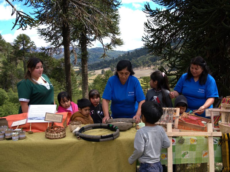 Veranadas_Pehuenche_Integra